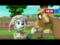 Paw Patrol Coming Up Next Only On Nick S Jr