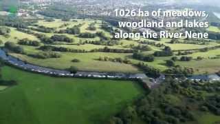 Nene Park in 90 seconds