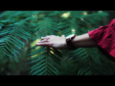 Weightless by Marconi Union: Relaxing Sleep Music - Stress Relief, Meditation Music.