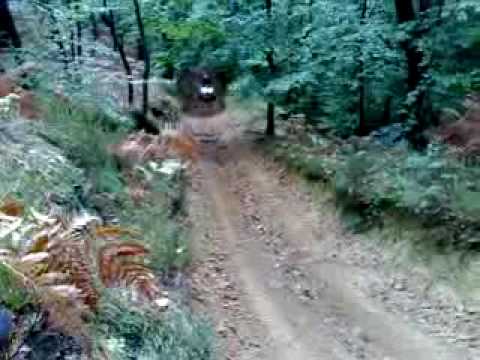 46.DEČKI  ŽUTNICE - Ja u bob stazi