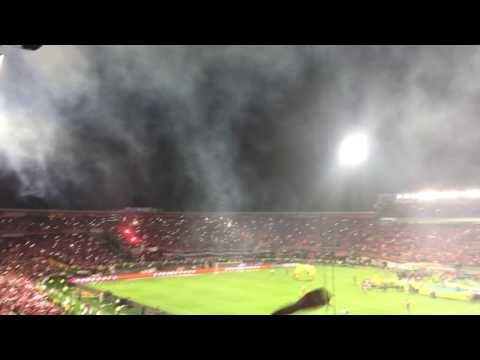 "Santa Fe campeón 2016 celebración" Barra: La Guardia Albi Roja Sur • Club: Independiente Santa Fe