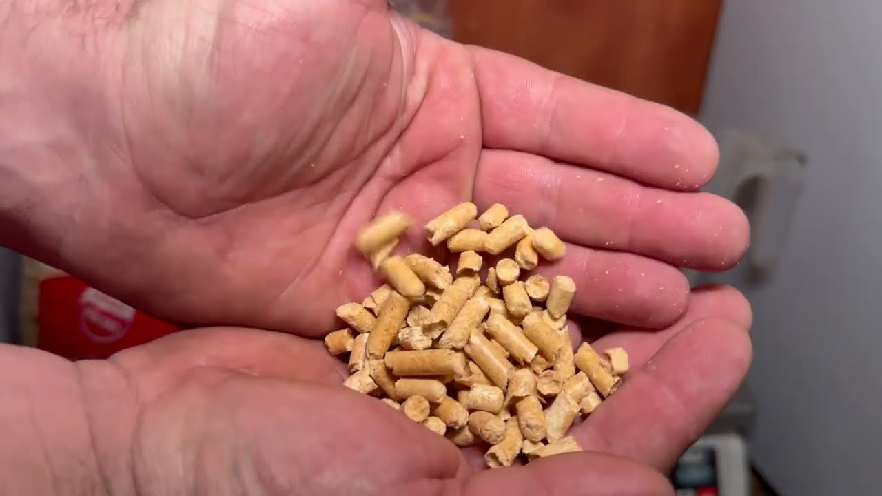 TEST PELLETU DARTEX WILGA A1 thumbnail