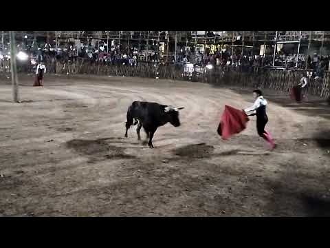 corrida de cintas Dzán  Yucatán 2024