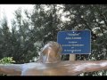 MOUNT DORA FLORIDA WINTER 2011
