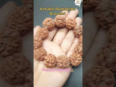 4 Mukhi Four Face Rudraksha Bracelet From Nepal in Elastic - Spiritual Healing & Clarity