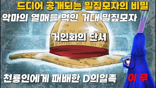 악마의 열매를 먹인 밀짚모자 로저는 천룡인에게 패배한 후 봉인