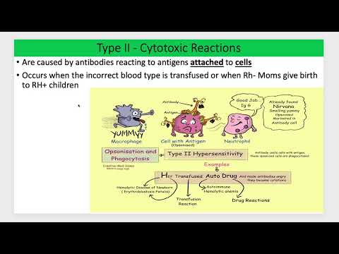 Immune Disorders Lecture | BIO 220