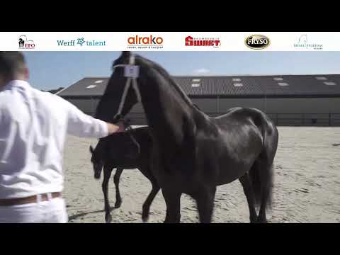 Locatiekeuring Stal de Kadyk | 11 juni 2022