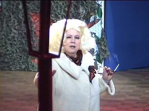 Sandersdorfer Karnevalsverein wird 40... ein Rückblick