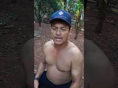 Éu conversando com meus amigos internautas na minha casa junto com a natureza Aragarças Goiás 