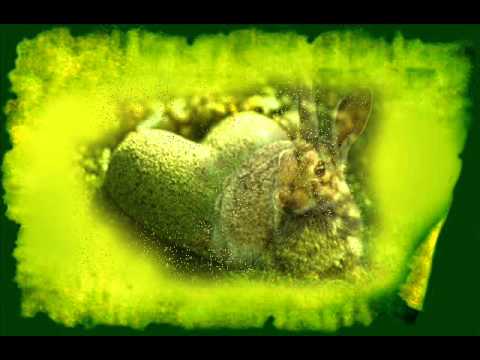 Paco Candela-La historia de dos amigos