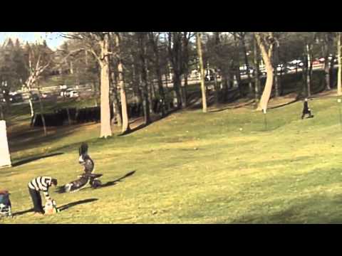 Un Aigle royal attrape un enfant dans un parc