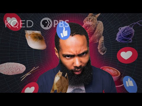 Is the internet expanding or narrowing our minds?