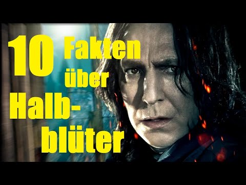10 FAKTEN über das HALBBLUT 🩸