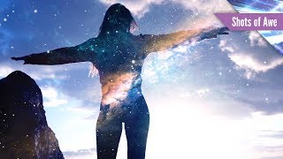 Paradise Engineering