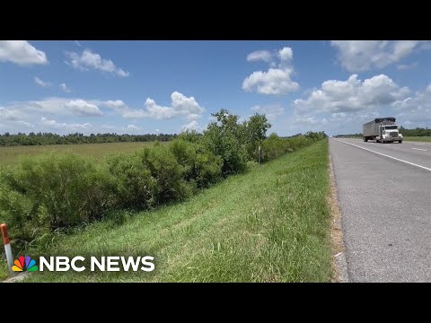 警方稱 "奇蹟寶寶 "在路易斯安那州溝渠中存活了兩天 (Police say 'miracle baby' survived two days in Louisiana ditch)