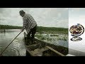 From Dead Zone To Fertile Delta The Romanian Danube