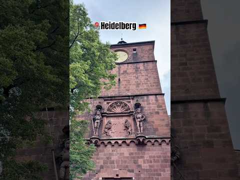 Inside Heidelberg Castle 🇩🇪🏰 | Schloss Heidelberg #Shorts
