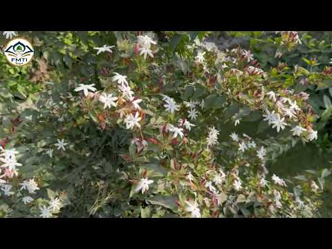 Sura Al- Kawthar with Nature 