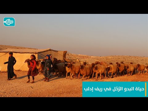 حياة البدو الرحل في ريف إدلب