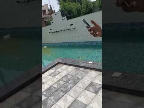 Swimming pool chemical dispenser