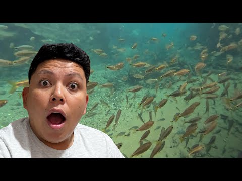 Visite un Río mágico en Aldea Yalicoc Raxruhá, Alta Verapaz Guatemala 🇬🇹 