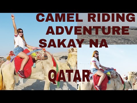 CAMEL RIDING ADVENTURE @ SEALINE SAND DUNES,DOHA /ANALYN T.ELS