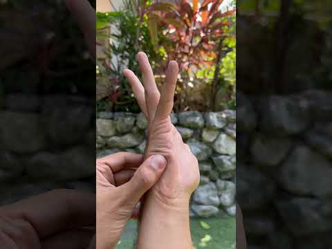 Chinese Medicine Back Pain Acupoint