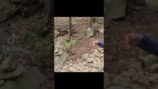 えっどう言うこと？【閲覧注意】