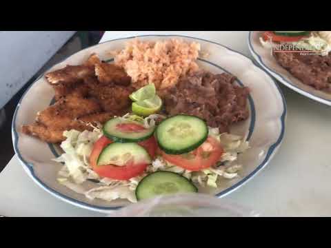 PUERTO CHALE, AVISTAMIENTO BALLENA GRIS