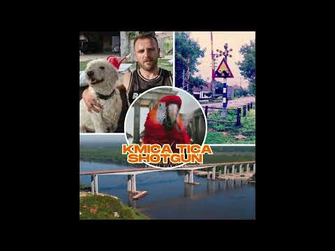 KMICA TICA -  SHOTGUN 🦜 (Reggae Session)