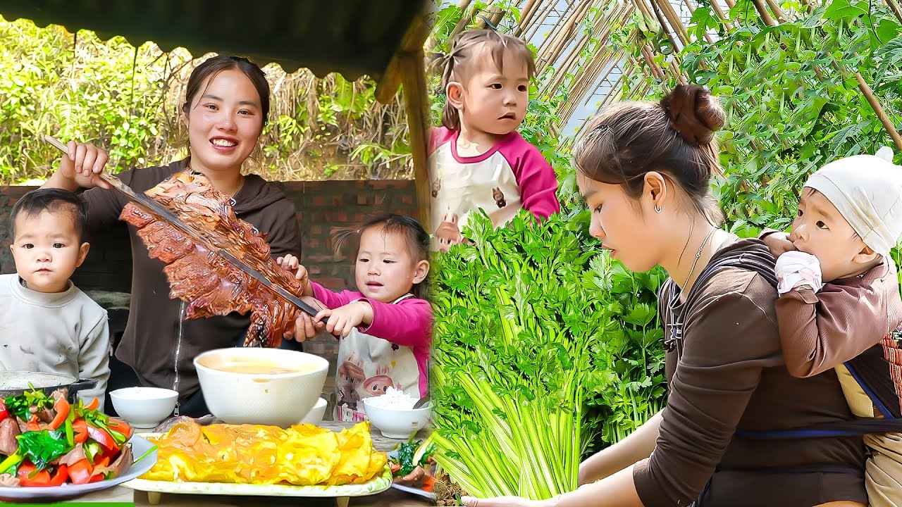 Harvest Green Celery to sell at the market - Cook Yummy Beef stir-fry with celery for children