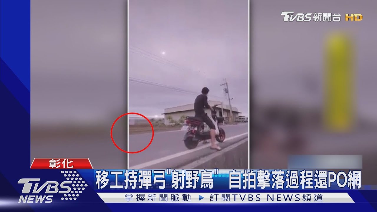 移工持彈弓「射野鳥」 自拍擊落過程還PO網