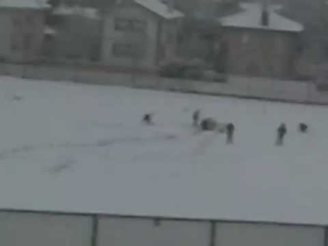 nevada en guadarrama 2008