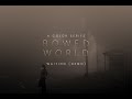 Video 3: Bowed & World Colors Waiting Demo