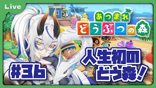 [あつまれどうぶつの森] 人生初のどうぶつの森！？色々教えてもらえると助かります！釣り、虫取りコンプ目指します！！ 夏のお魚、桟橋編vol36 [シャヘル]
