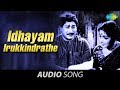 Pazhani Idhayam Irukkindrathe Song