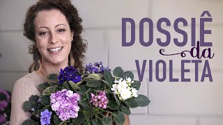 Miniatura do vídeo