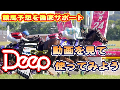手のひらサイズのデジタル競馬新聞　Deep