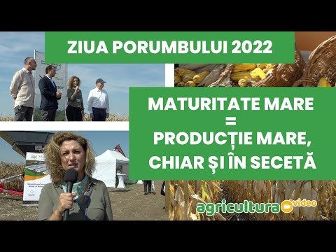 📌  𝗣𝗿𝗼𝗱𝘂𝗰𝘁̦𝗶𝗶𝗹𝗲 𝗱𝗲 𝗹𝗮 𝗭𝗶𝘂𝗮 𝗣𝗼𝗿𝘂𝗺𝗯𝘂𝗹𝘂𝗶, 𝗢𝗿𝗲𝘇𝘂, 𝗰𝗲𝗹 𝗺𝗮𝗶 𝗯𝘂𝗻 𝗮𝗿𝗴𝘂𝗺𝗲𝗻𝘁 𝗽𝗲𝗻𝘁𝗿𝘂 𝗱𝗶𝘃𝗲𝗿𝘀𝗶𝗳𝗶𝗰𝗮𝗿𝗲𝗮 𝗿𝗶𝘀𝗰𝘂𝗹𝘂𝗶!