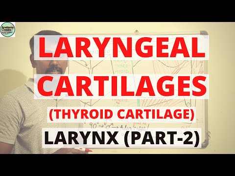 LARYNGEAL CARTILAGES - 1 (LARYNX - PART 2)