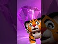 Twinkle Twinkle By Little Tiger Tom Singing Nursery Rhyme Kids Song Shorts