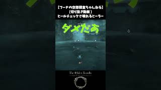 【ESO】ヒールチェックで壊れるヒーラー【切り抜き】