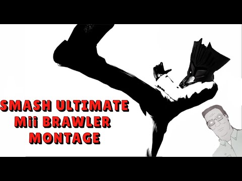 Mii bRaWlEr Is BaD: Journey of the Pro-Pain Yakuza Brawler