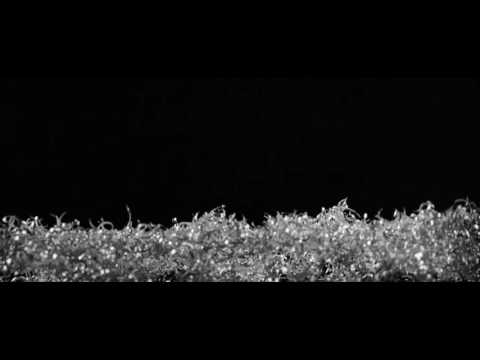 Meizu MX5   Crafted to perfection