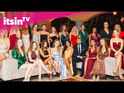 „Der Bachelor“ mit Dominik Stuckmann: DAS sind die Kandidatinnen