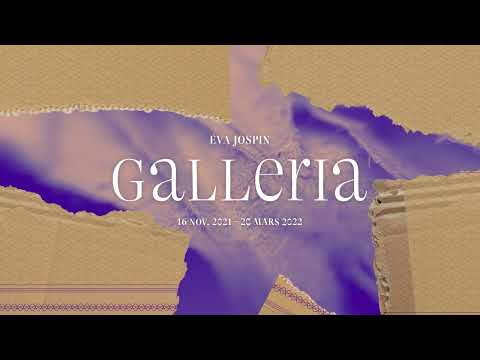 Galleria Eva Jospin - Musée de la chasse et de la Nature