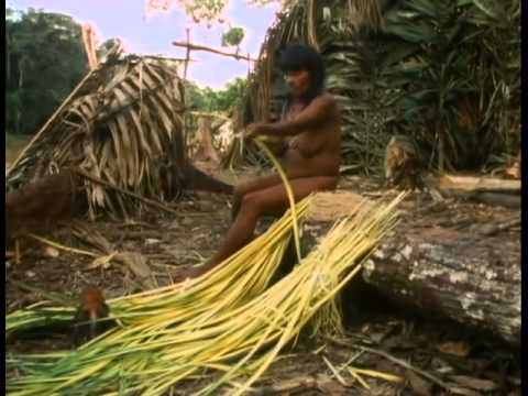 Nomads of the Rainforest  - PBS NOVA Tribes