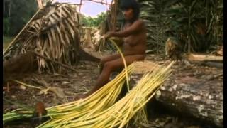 Download lagu Nomads of the Rainforest - PBS NOVA Tribes mp3 Download lagu Nomads of the Rainforest - PBS NOVA Tribes mp3