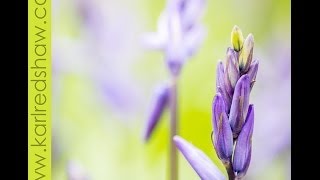 Floral Photography Slideshow
